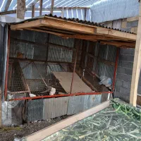 گاری|فروشگاه و مغازه|رشت, نخودچر|دیوار