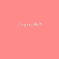 نیروی کار برای کار در کارواش