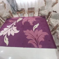 قالی|فرش|اهواز, پادادشهر|دیوار