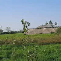 ۲۰۰ متر مربع زمین کشاورزی نسق مرکزشهر رشت،یخسازی|فروش دفتر صنعتی، کشاورزی، تجاری|رشت, یخسازی|دیوار