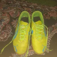 کفش فوتسالی برای صالن عالیه