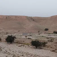 زمین باغ شهری