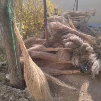 فروش جارو فراشی