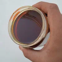 عسل شیره|خوردنی و آشامیدنی|کرج, عظیمیه|دیوار