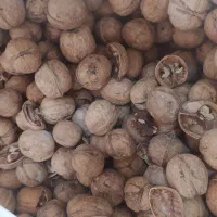 شکستن گردو پوست کاغذی