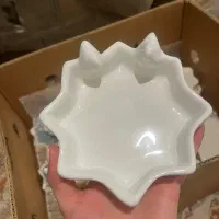 ظروف سرامیکی