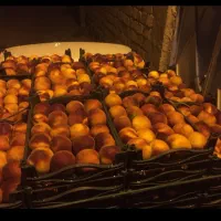 سورت میوه