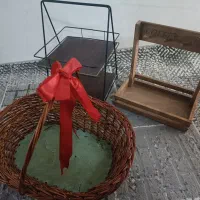 استندسالم درحدنو