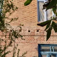 فروش خانه کلنگی|فروش زمین و ملک کلنگی|اسکو, |دیوار