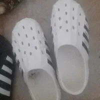 کفش کراکس  آدیداس