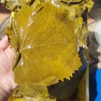 برگ‌ مو و  خیارشور. آبغوره