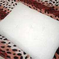 پشتی با الیاف نانو و جلد پشتی سلطنتی|پشتی|بندرعباس, |دیوار