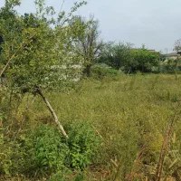 زمین۱۵۰متری پلاک شده آماده‌ ساخت/سندتکبرگ|فروش زمین و ملک کلنگی|چمستان, |دیوار