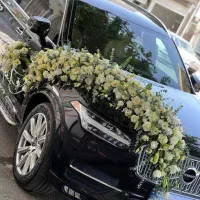 گل آرایی ماشین عروس با بالاترین تنوع و بهترین قیمت|گل و گیاه طبیعی|تهران, گلستان (شهرک راه آهن)|دیوار