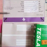 واگذاری سگ ژرمن