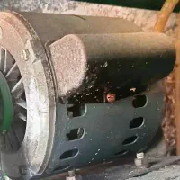 دینام کولر ۷۰۰۰ موتوژن