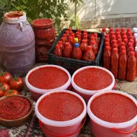فروش رب خانگی اصل