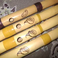 ۴ عدد نی به همراه هارد کیس