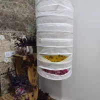 کاور قلیون|کوهنوردی و کمپینگ|قم, مسجد امام حسن|دیوار