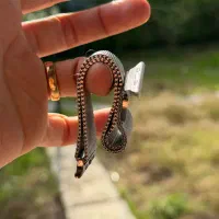 قاب گوشی آیفون ۱۳ پرو مکس و بند اپل واچ