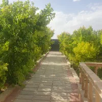 باغ ویلا مبله ویلایی ۶۰۰متری قدیمی استخر انجم آباد