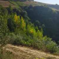 دوچرخه پیدا شده