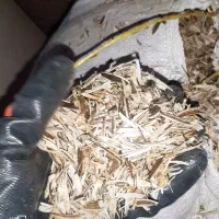 فروش و عرضه پوست و پوکاله تخمه آفتاب گردان