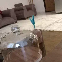 نو نو نو|ظروف سرو و پذیرایی|سبزوار, بیهق شرقی|دیوار