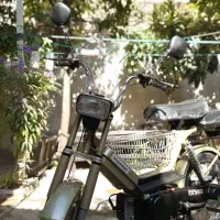 موتور براوو bravo