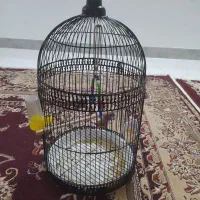 قفس پرنده