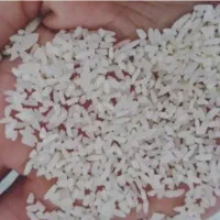 نیم دانه هاشمی درجه یک