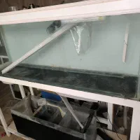 آکواریوم شیشه خم ۱۵۰*40*60 با پایه