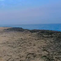 تاکسی با راننده خانم