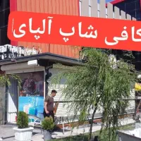 کرکره برقی معمولی افشانی((توحید))