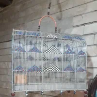 موتور برق - دریل پیچ‌بند - قفس|حراج|شیراز, انجیر|دیوار