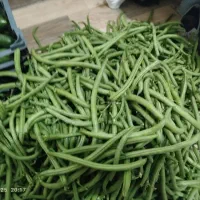 گوجه اهرولوبیاسبز