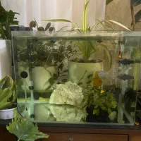 آکواریوم شیشه خم شرکتی