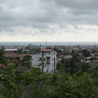 زمین ۵۰۰ متری مسکونی / پلاک ۱ جنگل نوشهر
