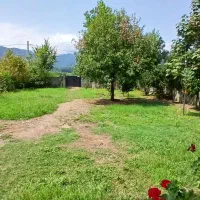سوییت اجاره ای ماسال روستای تنیان|اجارهٔ کوتاهمدت آپارتمان و سوئیت|ماسال, |دیوار