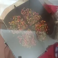 میز جلو مبلی
