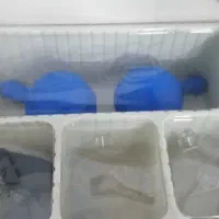 ربات بازی|اسباب‌‌بازی|اهواز, زیتون کارمندی|دیوار