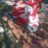 سه چرخه مدل فیل با دسته|دوچرخه، اسکیت، اسکوتر|رشت, حومه رشت|دیوار