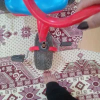 فروش سه چرخه|اسباب‌بازی بچه|پاکدشت, حصار امیر|دیوار