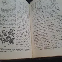 کتاب|کتاب و مجله ادبی|کرمانشاه, |دیوار