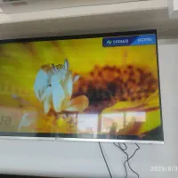 تلویزیون 55 اسنوا و دوو همراه با تخفیف اقساطی 6ماه|تلویزیون و پروژکتور|شیراز, دروازه اصفهان|دیوار