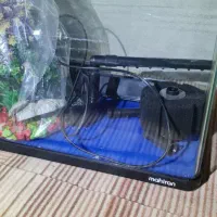 آکواریوم ماهیران|ماهی|مشهد, کوی سیدی|دیوار