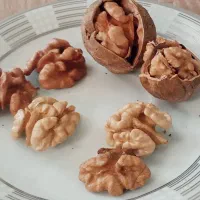 گردو|خوردنی و آشامیدنی|قم, چهار مردان|دیوار