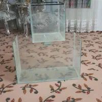 دوعدد اکواریوم