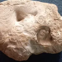 فروش سنگ عتیقه