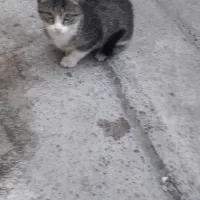 سلام واگداری مکنم خیلی دستی هست